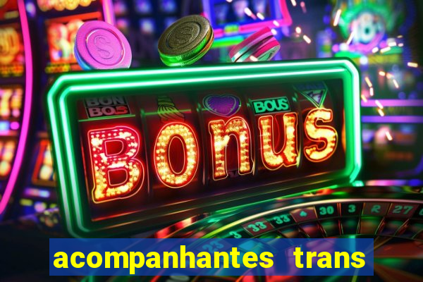 acompanhantes trans porto seguro